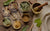 Discover Ayurvedic adaptogens